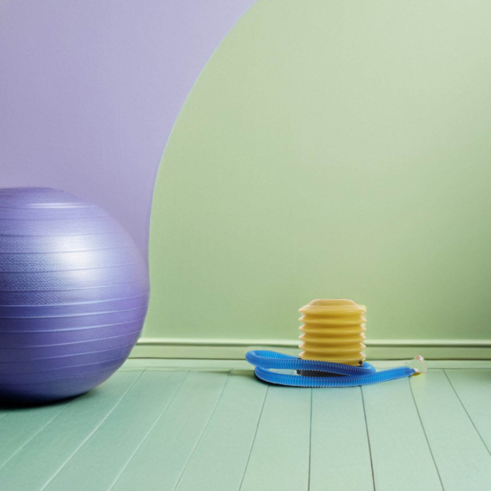 1세트 요가볼 풍선 펌프, 수동 발 펌프, 운동용 플라 - Pilates Yoga Exercises 리뷰 및 가격